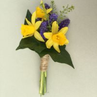 Daffodil & Muscari natural boutonniere