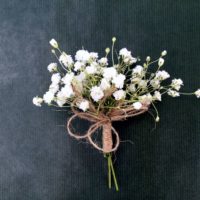 Gypsophila Buttonhole