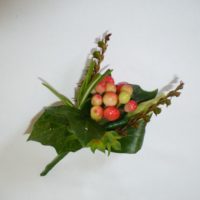 Hypericum Boutonniere