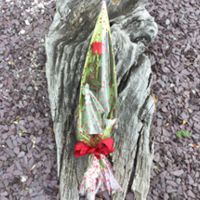 Single Red Rose Wrapped