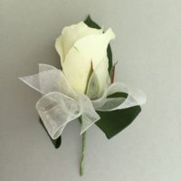 White Ladies Rose buttonhole