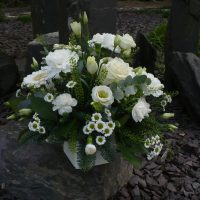 White arrangement in container