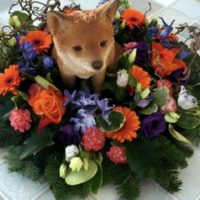 Fox Funeral Tribute