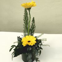 Gebra Simple Arrangement