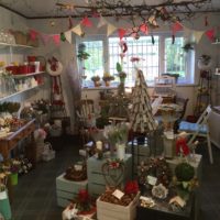 Shop Interior